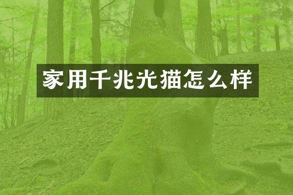 家用千兆光猫怎么样