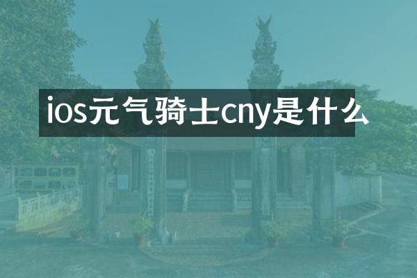 ios元气骑士cny是什么
