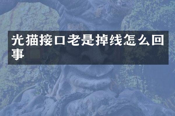 光猫接口老是掉线怎么回事