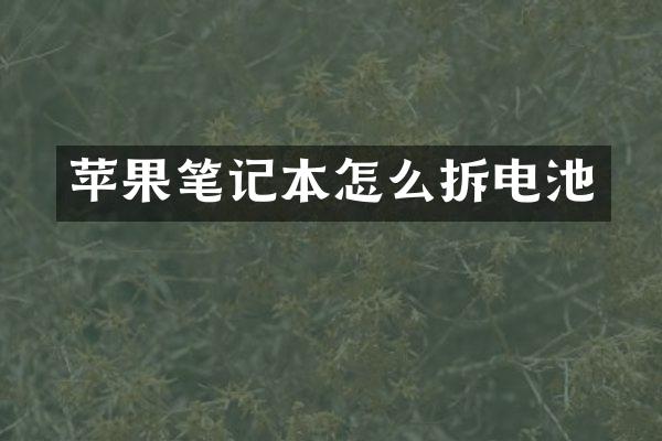 苹果笔记本怎么拆电池