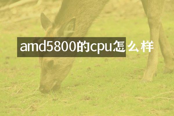 amd5800的cpu怎么样