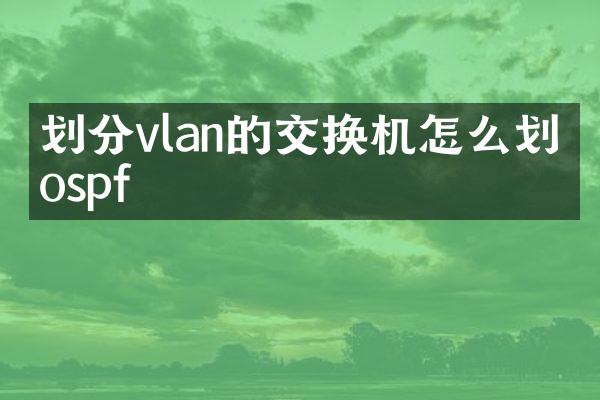 划分vlan的交换机怎么划分ospf
