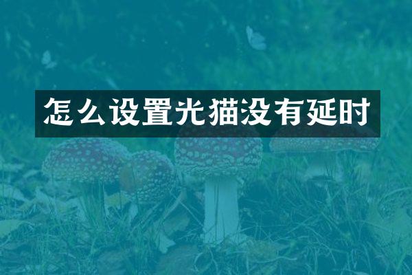 怎么设置光猫没有延时