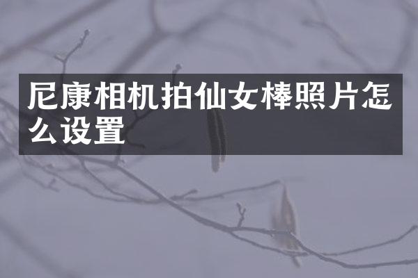尼康相机拍仙女棒照片怎么设置