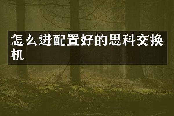 怎么进配置好的思科交换机