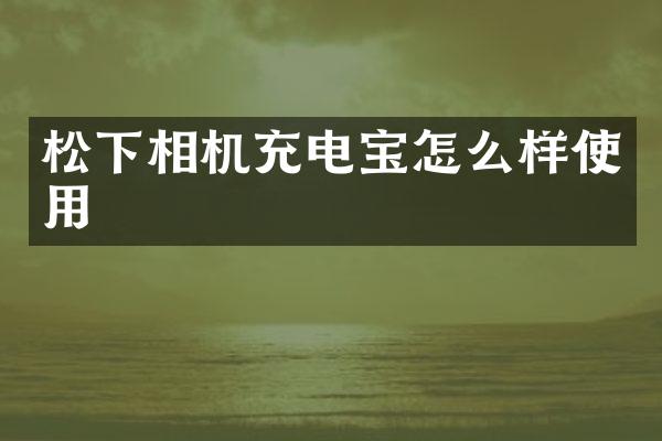 相机充电宝怎么样使用