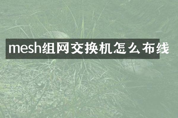 mesh组网交换机怎么布线