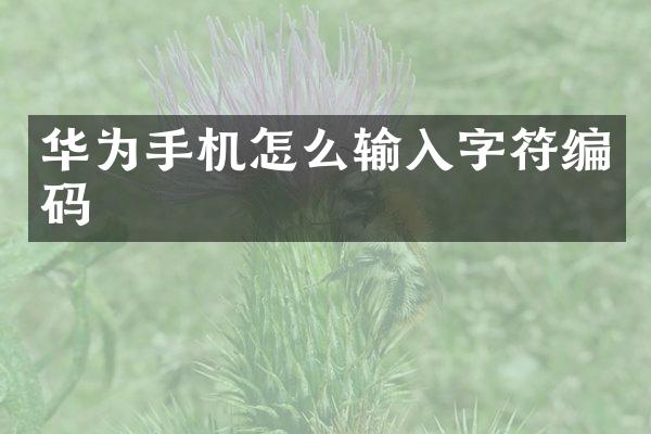 华为手机怎么输入字符编码