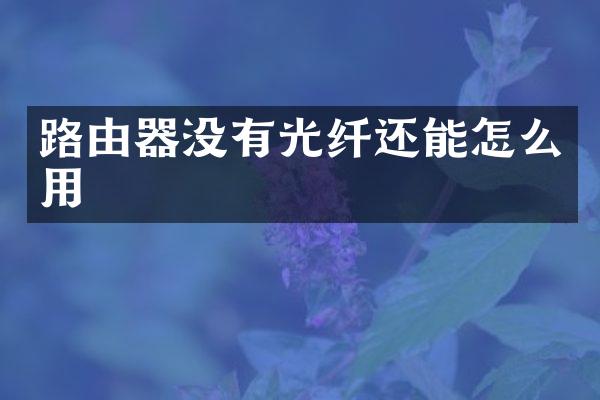 路由器没有光纤还能怎么用
