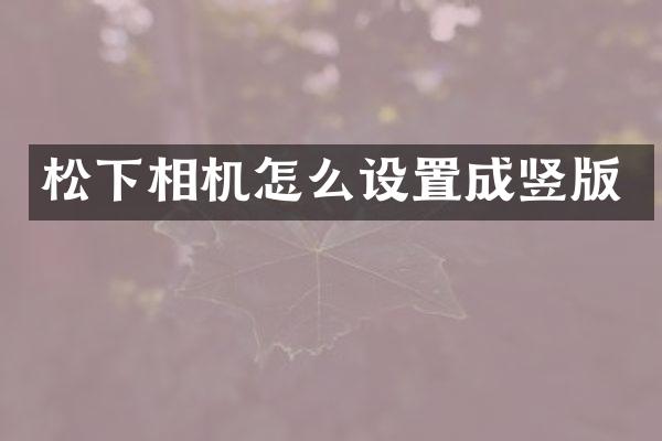相机怎么设置成竖版