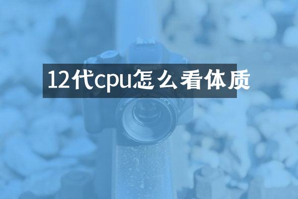 12代cpu怎么看体质