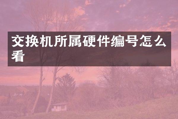 交换机所属硬件编号怎么看
