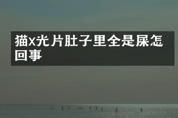 猫x光片肚子里全是屎怎么回事