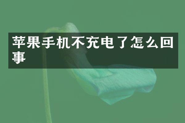 苹果手机不充电了怎么回事