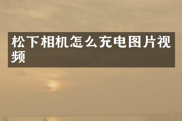 相机怎么充电图片视频