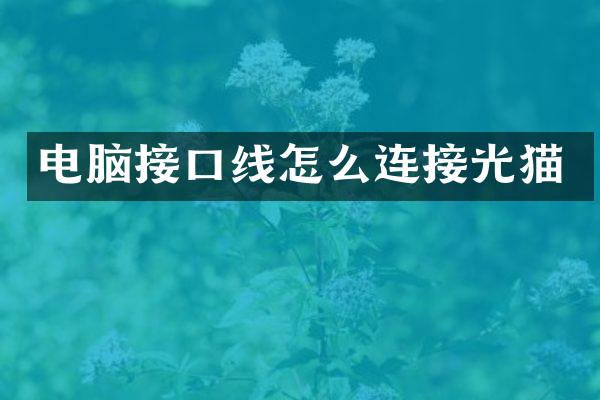 电脑接口线怎么连接光猫
