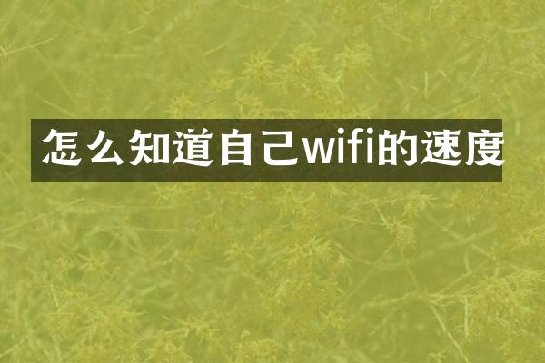 怎么知道自己wifi的速度