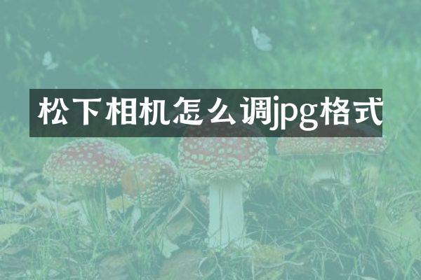 相机怎么调jpg格式