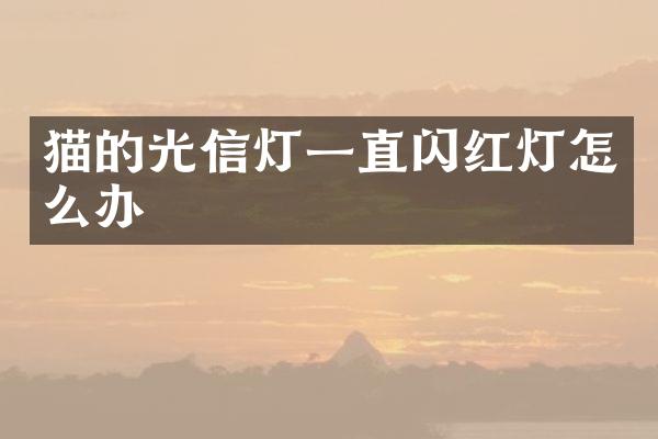 猫的光信灯一直闪红灯怎么办