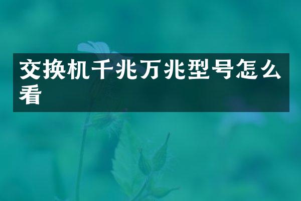 交换机千兆万兆型号怎么看