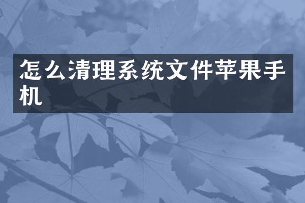 怎么清理系统文件苹果手机