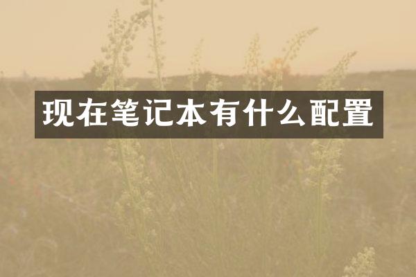 现在笔记本有什么配置