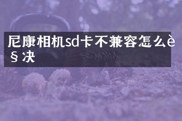 尼康相机sd卡不兼容怎么解决