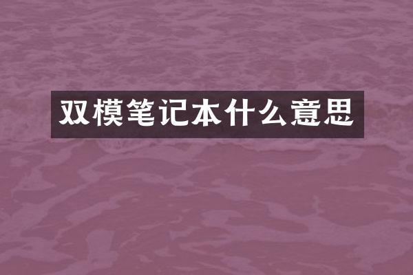 双模笔记本什么意思