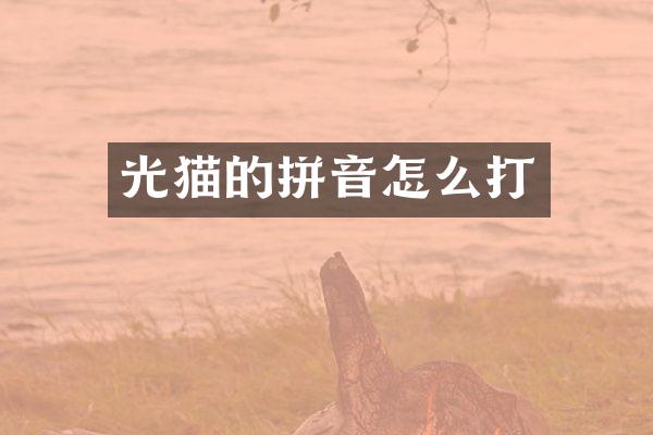 光猫的拼音怎么打