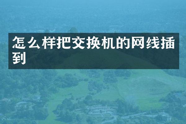 怎么样把交换机的网线插到
