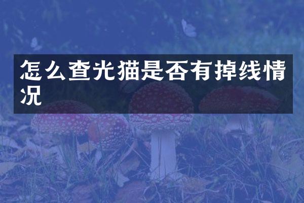 怎么查光猫是否有掉线情况