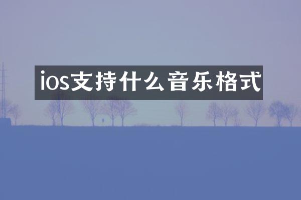 ios支持什么音乐格式