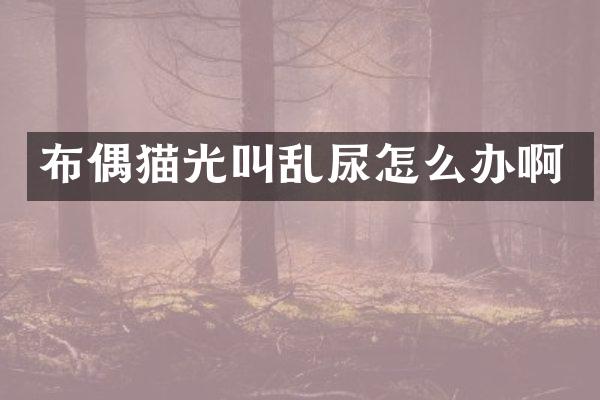 布偶猫光叫乱尿怎么办啊