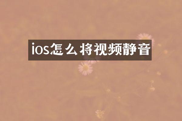 ios怎么将视频静音