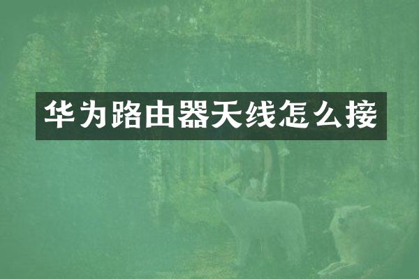 华为路由器天线怎么接