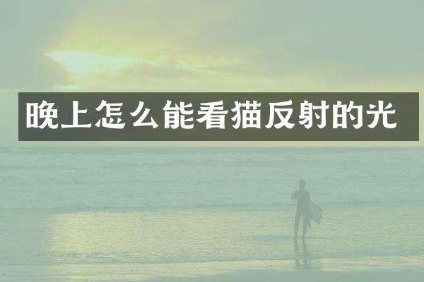 晚上怎么能看猫反射的光