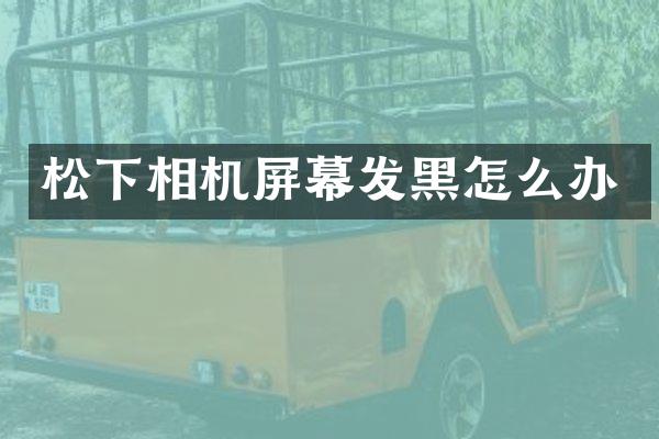 相机屏幕发黑怎么办