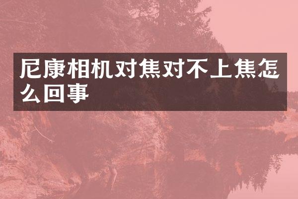 尼康相机对焦对不上焦怎么回事