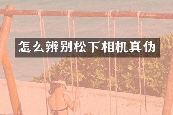 怎么辨别相机真伪