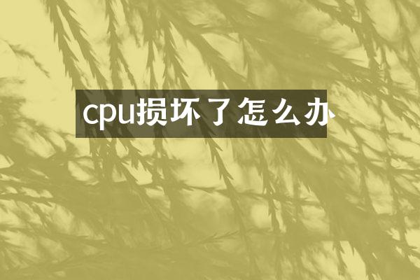 cpu损坏了怎么办