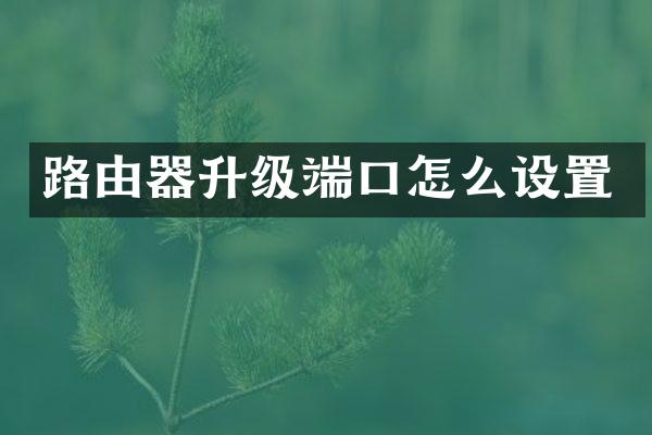 路由器升级端口怎么设置
