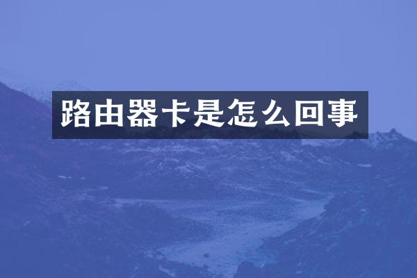 路由器卡是怎么回事
