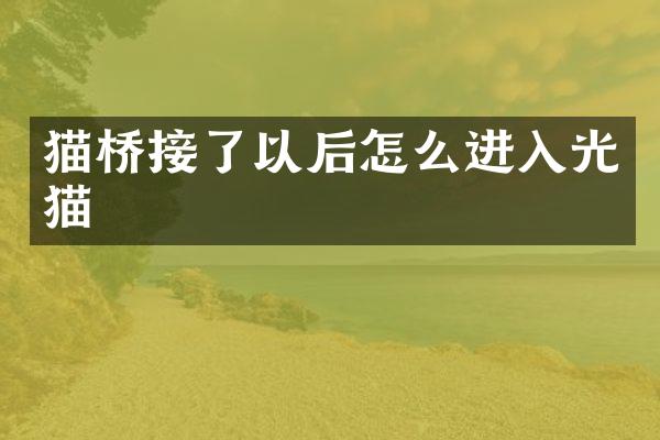 猫桥接了以后怎么进入光猫