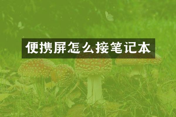 便携屏怎么接笔记本