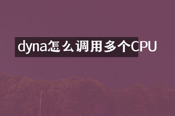 dyna怎么调用多个CPU