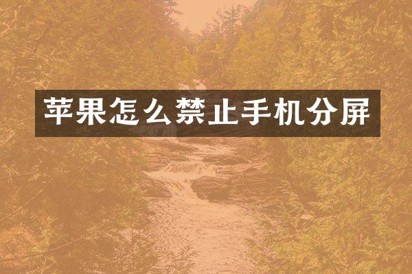 苹果怎么禁止手机分屏