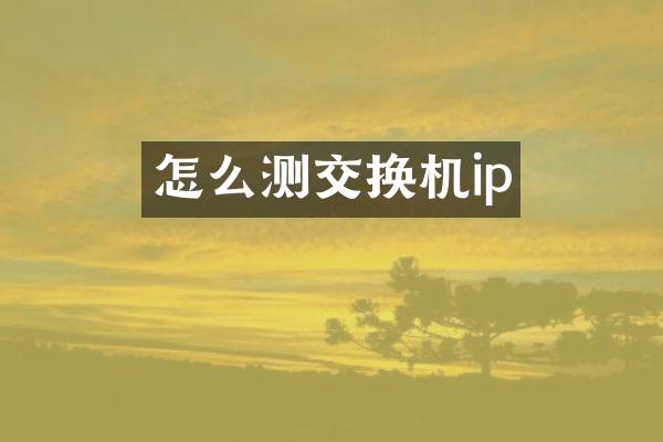 怎么测交换机ip