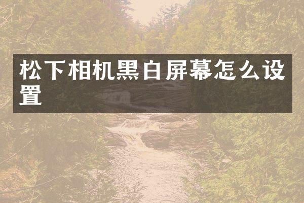 相机黑白屏幕怎么设置