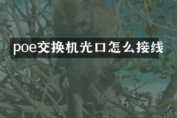 poe交换机光口怎么接线