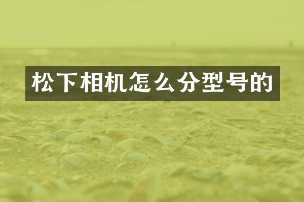 相机怎么分型号的